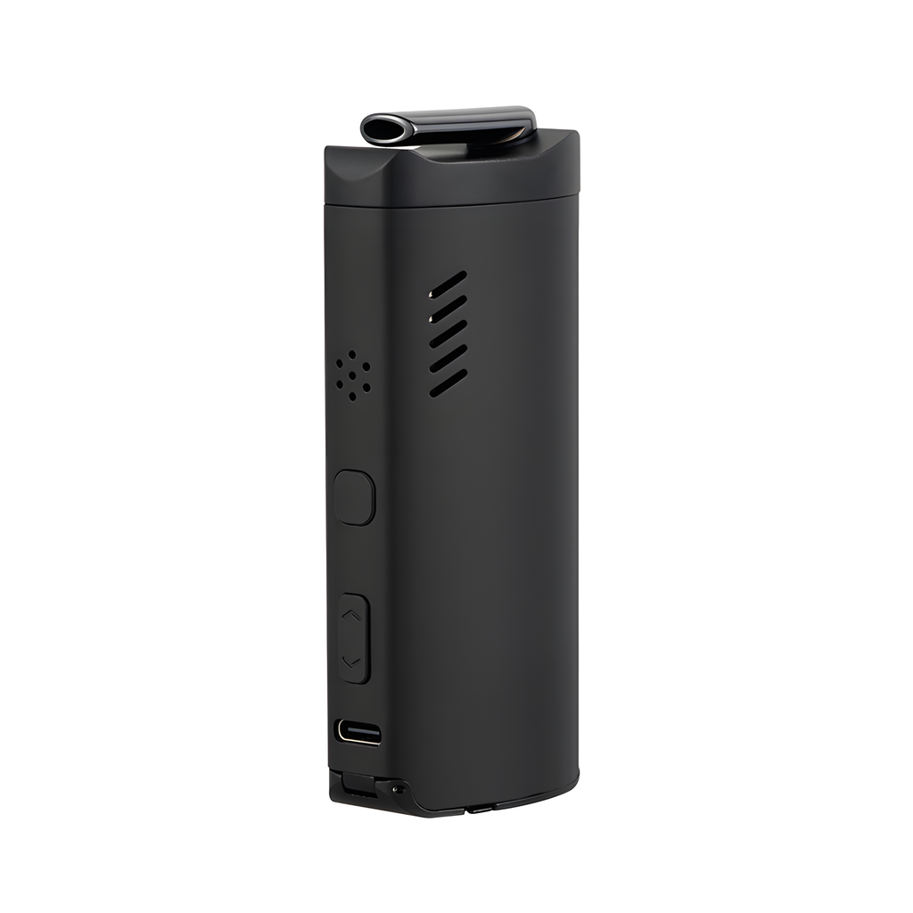 https://cdn.shopify.com/s/files/1/0579/8615/4672/files/7817_5.png?v=1761119392