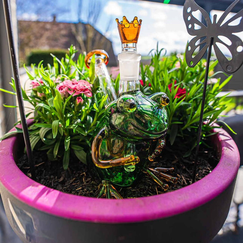 Black Leaf Glas-Wasserpfeife King Frog im Frosch-Design